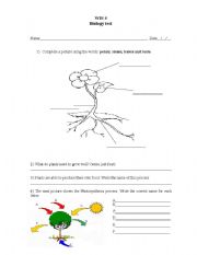 English Worksheet: Plants needs