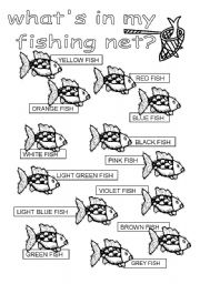 English Worksheet: whats in my fishing net