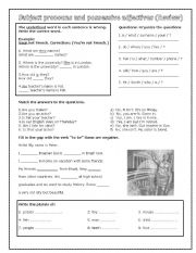 English Worksheet: Subject pronouns and possessive adjectives  (review)