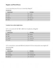 English Worksheet: Singular and Plural Nouns