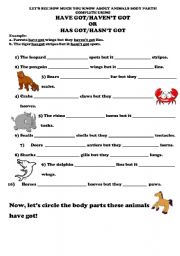 English Worksheet: Have/Has got - Animals
