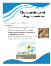 English Worksheet: Characteristics of living organisms