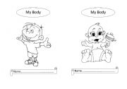 English worksheet: BODY