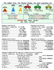 English Worksheet: Superlatives and Comparison Revision