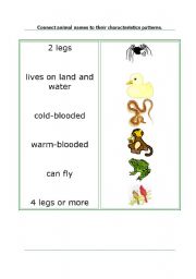 English worksheet: animal characteristics matching