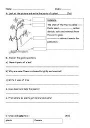 English Worksheet: Plants