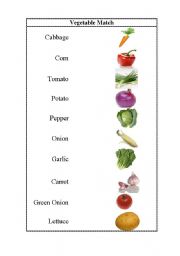 English Worksheet: Vegetable 