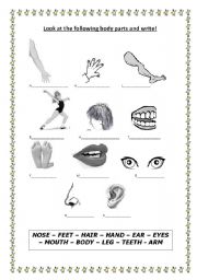 English Worksheet: Body Parts