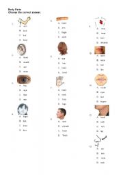 English Worksheet: body parts