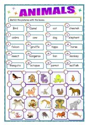 English Worksheet: animals