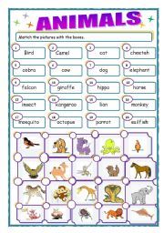 English Worksheet: animals