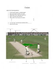 English worksheet: What is cricket?