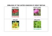 English Worksheet: Emblems of the UK of GB