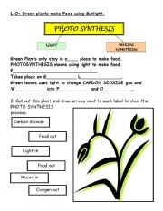 English Worksheet: photosynthesis