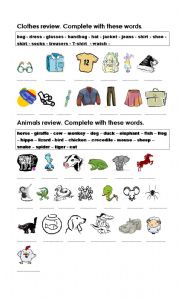 Clothes and Animals Review