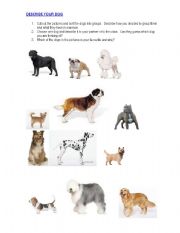 English worksheet: Describing Dogs