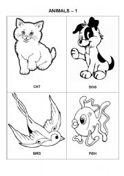 English Worksheet: Animals - cat, dog, bird, fish