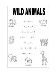 wild animals!