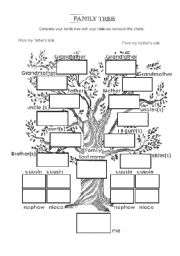 English Worksheet: family tree