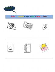 English worksheet: My Face parts