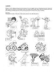 English Worksheet: Sports