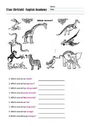 animals worksheet