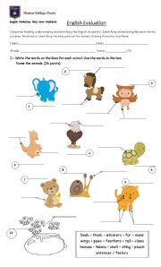 English Worksheet: 4th Grade English Evaluation