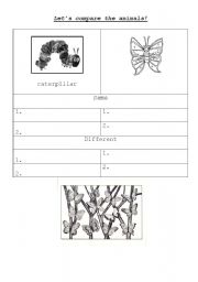 English worksheet: Lets compare!