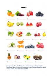 English Worksheet: Fruits