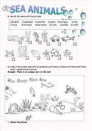 English Worksheet: Sea Animals