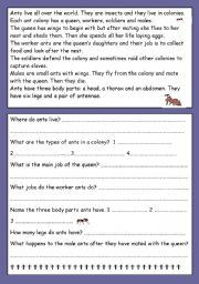 English Worksheet: Ants