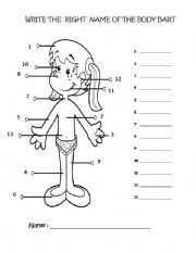 English Worksheet: Body Parts