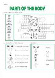 English Worksheet: PARTS OF THE BODY