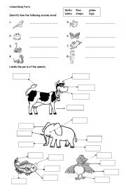 English Worksheet: Animal Body Parts 