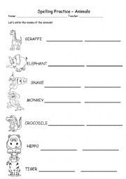 Animals - Spelling practice