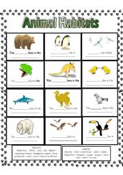 Animal Habitats