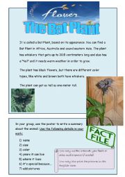 English Worksheet: a bat plant