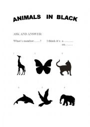 ANIMALS IN BLACK