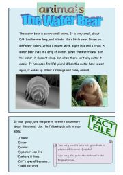 English Worksheet: the water bear