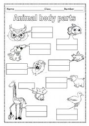 English Worksheet: Part of body