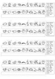 English Worksheet: Activity parts of body