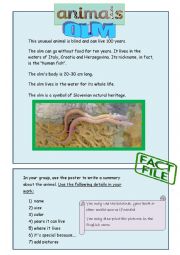 English Worksheet: The Olm - Strange Animals and Plants