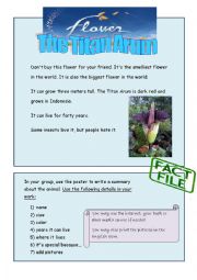 English Worksheet: titan arum