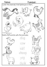 English Worksheet: Farm Animals