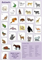 English Worksheet: ANIMALS