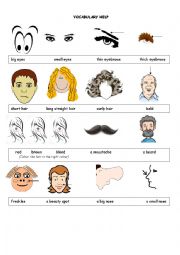 English Worksheet: Identikit