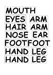 English Worksheet: Parts of the body