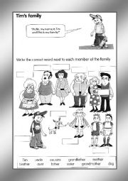 English Worksheet: Tims Family