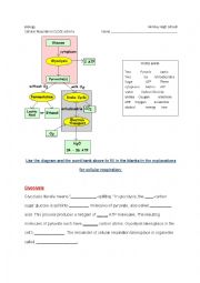 English Worksheet: Cellular Respiration CLOZE activity