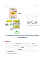 Cellular Respiration CLOZE activity